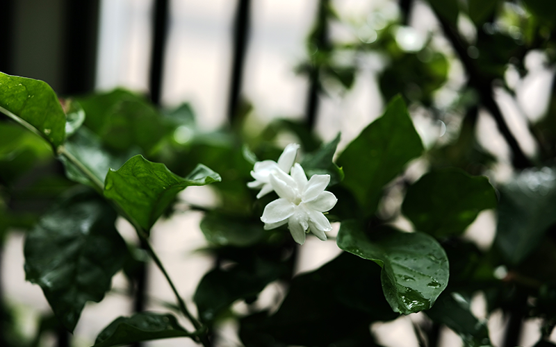 10456bbffd906c86e82ea42e079bf537_1705390416_2824.png 10456bbffd906c86e82ea42e079bf537_1705390416_2824.png