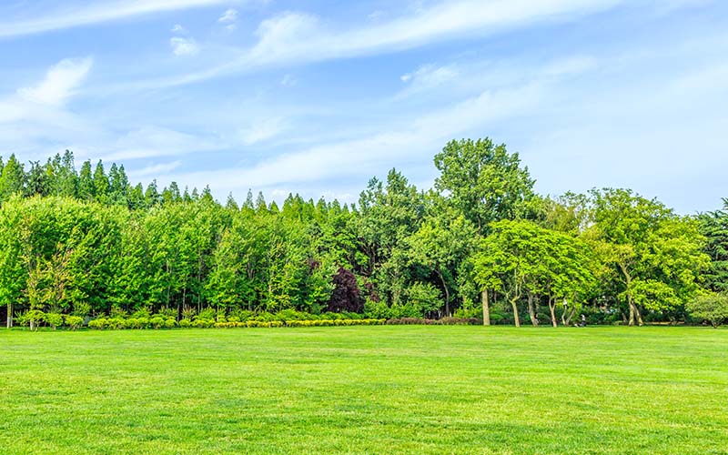 749a723924749ec825eb123074fbe155_1765167830_0098.jpg 749a723924749ec825eb123074fbe155_1765167830_0098.jpg